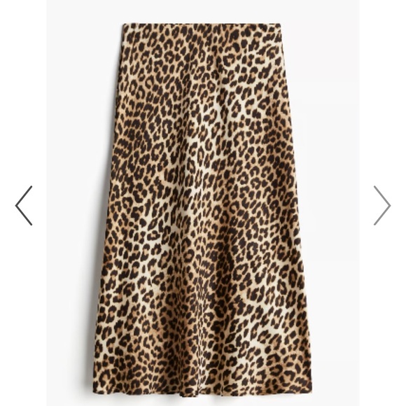 Leopard Print Midi Skirt - Picture 2 of 3